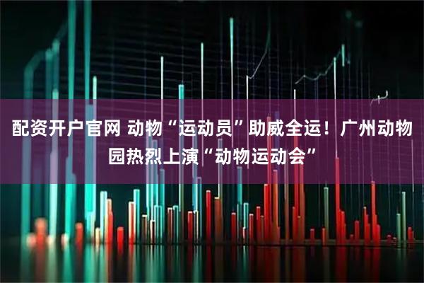 配资开户官网 动物“运动员”助威全运！广州动物园热烈上演“动物运动会”