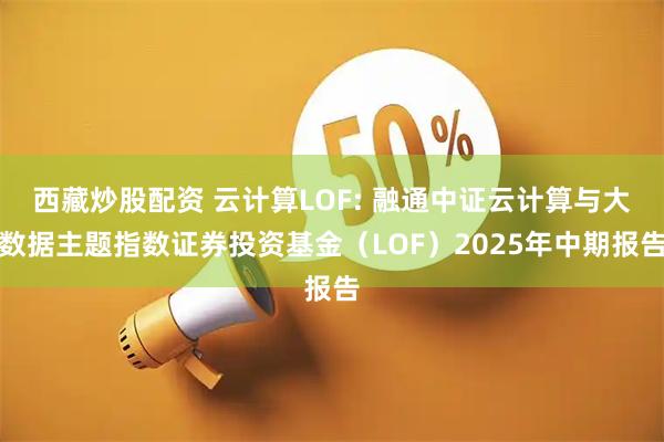 西藏炒股配资 云计算LOF: 融通中证云计算与大数据主题指数证券投资基金（LOF）2025年中期报告